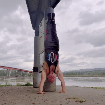 Assisted Handstand Push Up