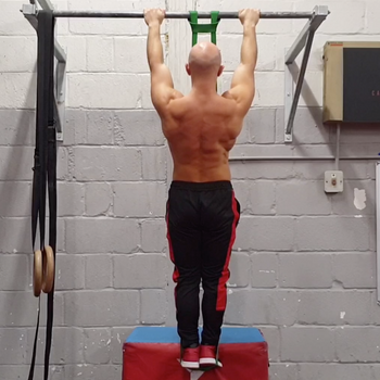 Band Scapula Pull Up