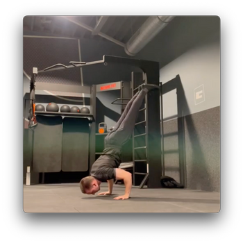 Negative handstand push up hold