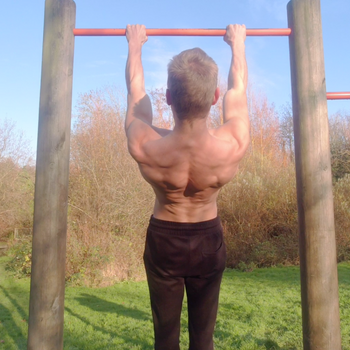 Arch Scapula Pull Up