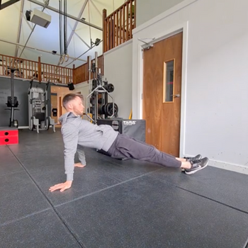 Reverse Plank