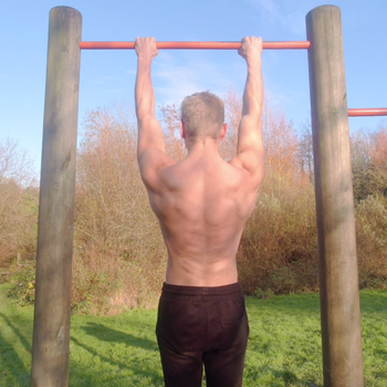 Scapula Pull Up